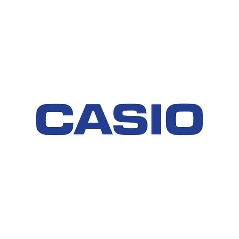 Puits de 1 emplacement pour Casio DT-930 Megacom